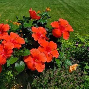 Meet your Posher, Anita